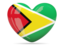 Find websites in Guyana